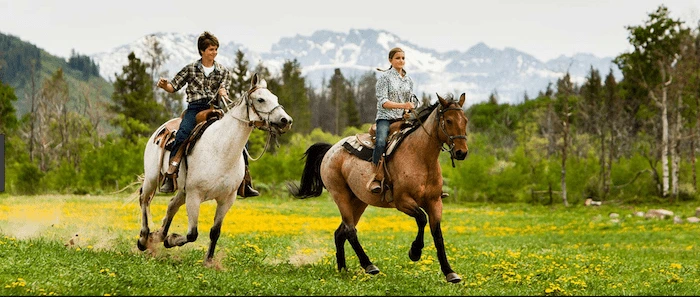 Confident plus-size woman riding Almondsbury a horse through a field with a smile on her face.